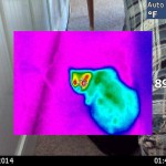 Benefits of Thermal Imaging - looking at a cat
