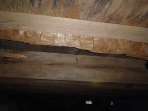 INSPEKT is your number 1 choice for home inspection services in Indianapolis